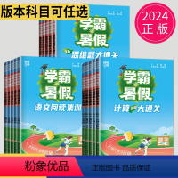课堂笔记 语文 一升二 [正版]2024秋新版小升初学霸的暑假 计算大通关 思维大通关阅读集训小学一升二升三升四升五升六