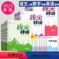 语文+数学(苏教版)+英语(译林版) 三年级上 [正版]2024拔尖特训三年级上册四年级课时作业本同步训练二年级上册语数
