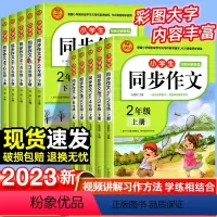 同步作文上册+下册 小学二年级 [正版]2023年小学同步作文 人教版小学生二三四五六年级上下册同步作文大全 作文写作范