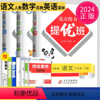 [正版]2024亮点给力提优班多维互动空间六年级下册语文数学英语六下全套人教版RJ苏教版SJ译林版YL江苏小学6年级下