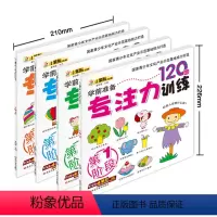 [正版]小笨熊大智慧专注力训练120图训练 学前准备专注力训练 第四阶段第一二三阶段3-6岁儿童全面提高宝宝观察力思考