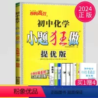 [正版]2024初中化学小题狂做九年级下册化学九下提优版人教版RJ初三下学期中学教辅同步练习册辅导书教辅资料基础版小题