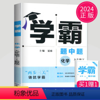 [正版]2024学霸题中题九年级下册化学人教版江苏初三下学期初中化学9年级课堂作业同步资料辅导书课时提优必刷题基础练习