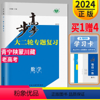理科数学 青宁陕蒙川藏 [正版]2024步步高高考数学理科大二轮专题复习与增分策略复习讲义全国版金榜苑每日一练辅导书高三
