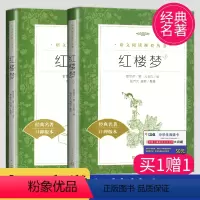 [正版]人民文学 红楼梦上下册全统编《语文》阅读丛书 青少年书籍四大名著古典小说世界名著生僻字注音注释 人民文学