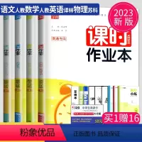 语数英物 九年级上 南通专用 九年级/初中三年级 [正版]2024课时作业本九年级下册数学九下人教版通城学典中学教辅南通