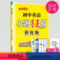 [正版]2024初中英语小题狂做提优版八年级下册英语八下译林版江苏初二下学期8年级下苏教版同步练习册辅导书教辅资料基础