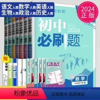 语数英政史地生 七年级下 人教版 七年级/初中一年级 [正版]2024初中必刷题七年级下册上册数学语文英语七下RJ人教版