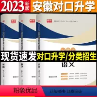 语数英 高中通用 [正版]安徽省2024年分类招生和对口招生考试全真模拟卷全套3本中职生升学中专升大专2022职高扩招单