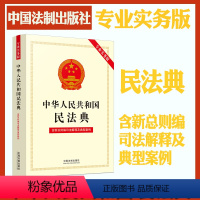 [正版]2022新版 中华人民共和国民法典 专业实务版 含新总则编司法解释及典型案例 民法典法律法规司法解释书籍 法制