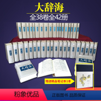 [正版]大辞海(全38卷全42册) 夏征农陈至立 上海辞书汉语辞典工具书 纳语文与百科知识于一体的综合性辞典 上海辞书