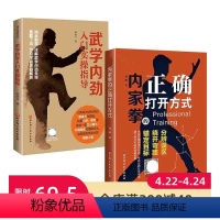 [正版]内家功夫探索 全2册 内家拳的正确打开方式 武学内劲入门实操指导 内家拳 武术 北京科学技术