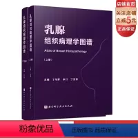 [正版]乳腺组织病理学图谱 上下册 乳腺组织学 乳腺疾病 病例讨论 高清图解 北京科学技术