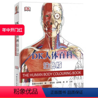 [正版]DK人体百科 涂色版 英国DK出版社经典系列 人体 又一力作 北京科学技术