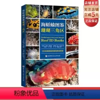 [正版]海蛞蝓图鉴 珊瑚三角区 科普 水下摄影 生物 海蛞蝓 北京科学技术