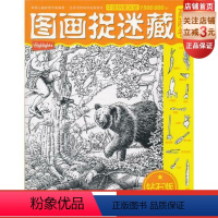 [正版]图画捉迷藏·高阶卷钻石版(全新的内容,来自美国,疯狂)北科技