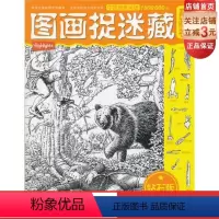 [正版]图画捉迷藏·高阶卷钻石版(全新的内容,来自美国,疯狂)北科技