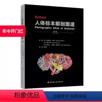 [正版]Rohen人体标本解剖图谱 第9版 医学解剖 标本解剖经典全书 北京科学技术