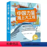 全套 [正版]中国力量 海上大工程 全4册 让孩子换个角度看大海 四大工程直击中国重塑海洋的核心场景 构筑孩子直通未来的