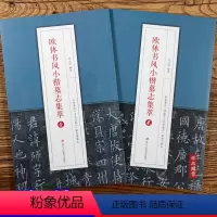 [正版] 欧体书风小楷墓志集萃全2本丘师墓志王女节墓志翟天德墓志李誉墓志 毛笔软笔楷书练字帖钟繇小楷六种中国经典碑帖释