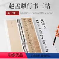 [正版]共3篇 赵孟頫行书三帖 洛神赋 前后赤壁赋 名家碑帖近距离临摹卡简体旁注 原色原帖 赵体行书毛笔书法字帖成人学