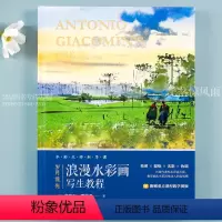 [正版]岁月流光浪漫水彩画写生教程 水彩入门到进阶教程安东尼贾克曼 中英对照版水彩入门到进阶教程巴西水彩大师作品临摹技