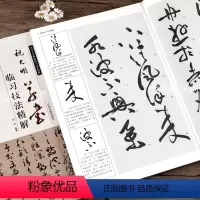 [正版]祝允明草书 毛笔书法临习技法字帖初学者入门成人临摹精解教程书法毛笔字帖教程