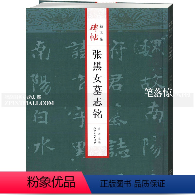 [正版]张黑女墓志铭碑帖jing品集 毛笔软笔楷书碑帖练字帖附简体旁注成人老人毛笔字帖曲涛主编 江西美术出版社