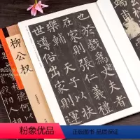 [正版]历代名家书法珍品 柳公权楷书毛笔字帖 玄秘塔碑神策军碑 碑帖毛笔字帖临摹 原碑贴放大本 许裕长编 锁线订大8开