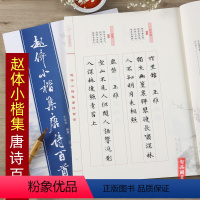 [正版]赵体小楷集唐诗百首 李白将进酒王丙申编 书法小楷范字 临摹毛笔书法字帖硬钢毛笔大学生成人毛笔小楷楷书字帖 唐诗