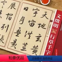 [正版]文徵明行草千字文 大八开行草千字文全文 中国历代名碑名帖放大本系列 毛笔行草书法帖字帖 附简体旁注 黑龙江美术