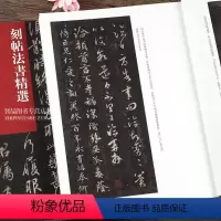 [正版]刻帖法书选 历代法帖风格类编 本书收录大观帖和王铎临刻帖大观帖 繁体旁注 行草成人学生临摹范本 河南美术出版社
