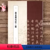 [正版]赵孟頫写经三种 书苑拾遗系列王祎书法篆刻楷书碑帖字帖历代碑帖精粹书法字帖书法作品 上海辞书出版社