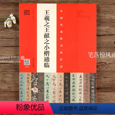 [正版]王羲之王献之小楷通临 翁志飞编 二王楷书整碑通临视频全覆盖 成人初学者临摹小楷毛笔书法字帖 河南美术出版社