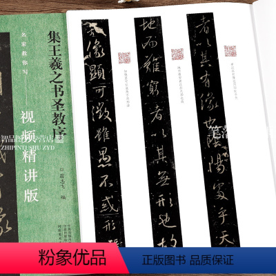 [正版]集王羲之书圣教序 名家教你写视频精讲版 行书碑帖简体释文通临教程书法初学者辅导班用书入门基础字帖 河南美术出版