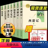 [人教版]七年级上册7本全套 [正版]朝花夕拾鲁迅原著七年级上册无删减完整版人教版文学阅读书世界名著人民教育出版社初一初