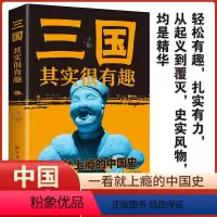 [正版] 三国其实很有趣 中国史书籍从起义到覆灭从大乱到 史实风物帮助读者真正地了解历史以史为鉴指导未来 gcx