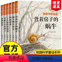 [全6册]杨红樱科学童话系列 [正版]全3册 冰心儿童文学全集原著三部曲繁星春水寄小读者橘小桔灯三四五六年级小学生课外必