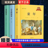 快乐读书吧-六年级上册 3册 [正版]全3册 快乐读书吧6年级上册 童年小英雄雨来爱的教育 小学生课外书籍 六年级名著全