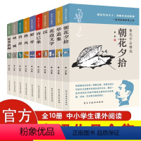 鲁迅精选作品集全10册 [正版]全10册鲁迅作品精选全集原著六七年级必读课外阅读书籍 朝花夕拾华盖集花边文学坟而已集野草