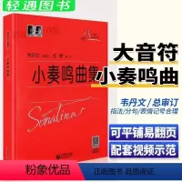 [正版] 小奏鸣曲集扫码看视频 韦丹文 大字版儿童钢琴练习曲谱 上海教育出版 钢琴初学者入门保护视力 大音符钢琴曲乐谱