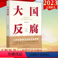 [正版]2023新书 大国反腐 方正出版社 正风肃纪治理腐败的成功经验和卓越成效的通俗理论读物与腐败水火不容97875