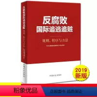 [正版] 2019 反腐败国际追逃追赃:规则、程序与方法 方正出版社 纪检监察工作工具书籍