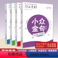 小众素材系列[4本套装] 全国通用 [正版]2025新版小众素材系列金句素材+大家素材+情理素材+新知素材4册全套高考作