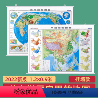[正版]地形知识版2023中国地图挂图世界地图大图 初中高中学生版地理学习水系洋流气温等知识提取 1.2米大幅面地形图
