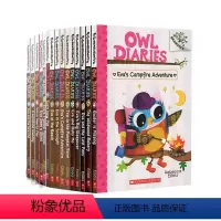 Owl Diaries 猫头鹰日记 共17册 [正版]Owl Diaries 猫头鹰日记 17册 Scholastic