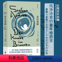 [正版]书籍井中男孩 安德雷斯著 德国版城南旧事 战争童年成长 德国长篇小说