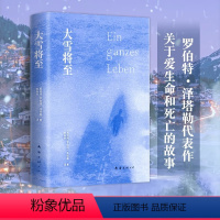 [正版]大雪将至 罗伯特·泽塔勒 打动西方人灵魂的作品 外国版活着布克国际奖四月书语赫尔曼黑塞悉达多托马斯曼