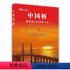 [正版]中国桥:港珠澳大桥圆梦之路