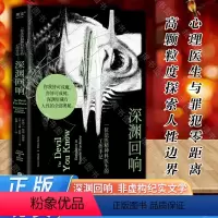 [正版]全新深渊回响 非虚构纪实 法医 罪犯 精神疾病 犯罪心理 跟踪 妄想 精神分裂 代理型孟乔森综合征 焦虑型依恋